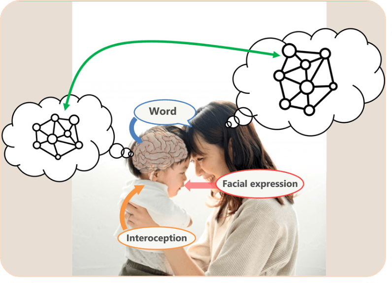 Understanding Emotions and Consciousness Through a Constructive Approach
