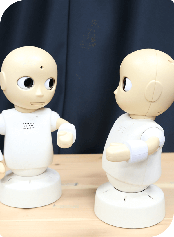 What is Social Robotics